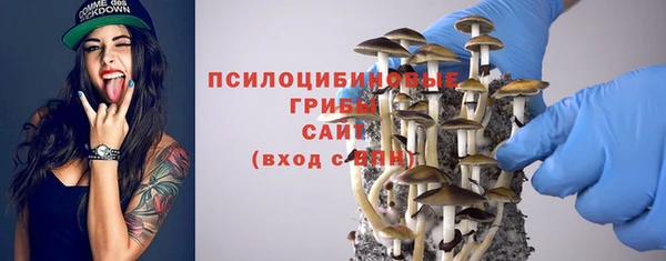 индика Абдулино