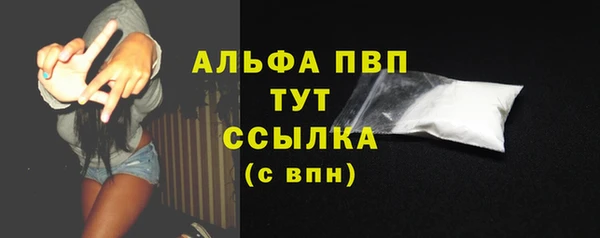 индика Абдулино