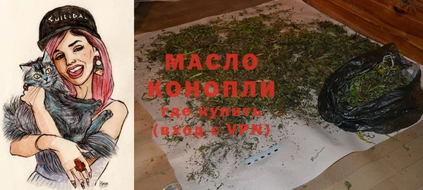 индика Абдулино