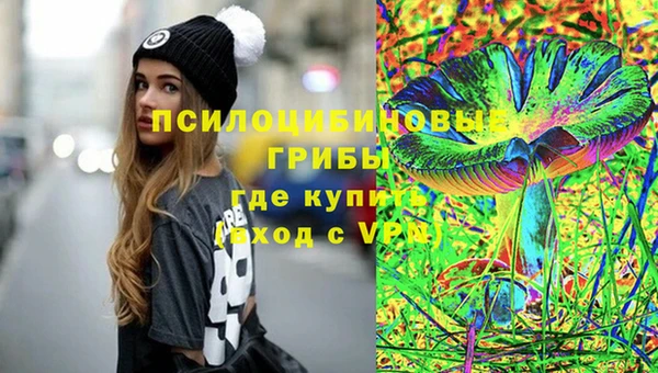 индика Абдулино