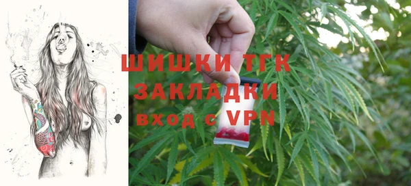 дурь Весьегонск