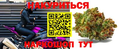 СК Донской