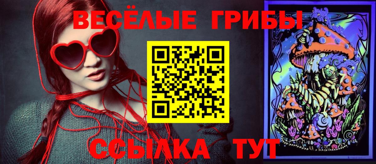 Псилоцибиновые грибы мицелий Югорск